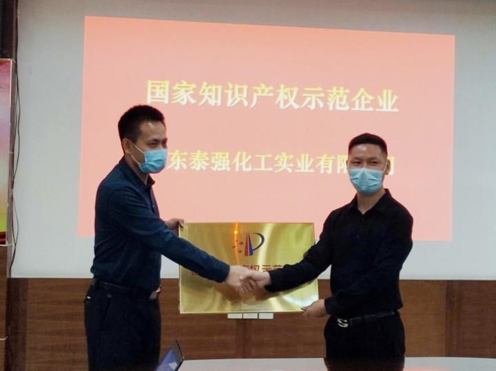 清遠市實現歷史零的突破！泰強化工獲“國家知識產權示范企業”稱號(圖3)