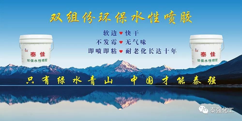 清遠市實現歷史零的突破！泰強化工獲“國家知識產權示范企業”稱號(圖4)